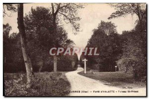 Old Postcard Fleurines Foret D & # 39Halatte Post St Priest