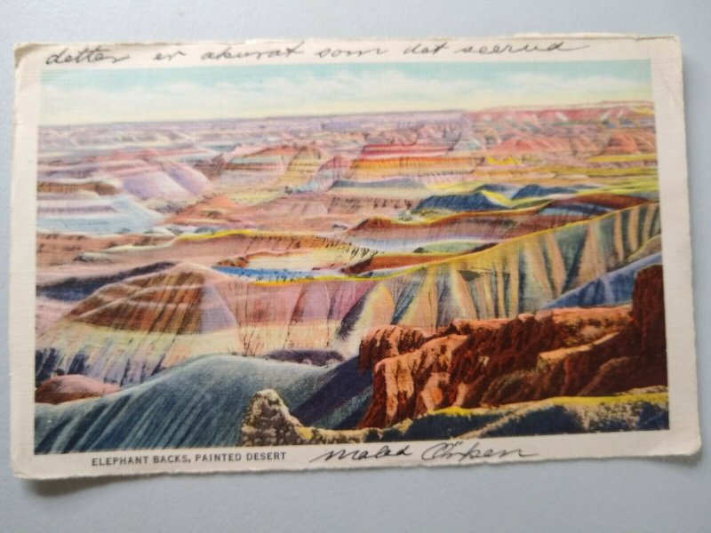 M-22626 Elephant Backs Painted Desert & In Third Forest Petrified Forest