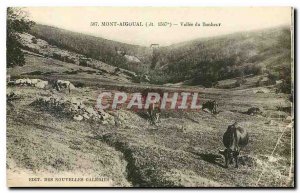 Postcard Old Aigoual Happiness Cows of Vallee