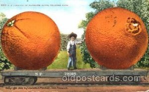 Exaggeration Oranges 1911 minor corner wear