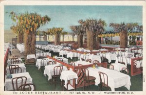 Washington D C The Lotus Restaurant sk4791