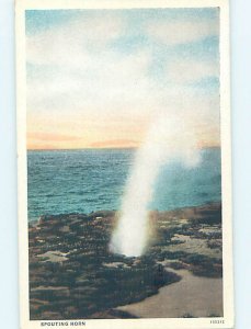 W-border NATURE SCENE Koloa Hawaii HI AD4565