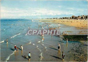 Modern Postcard Sea Lion Calvados Beach