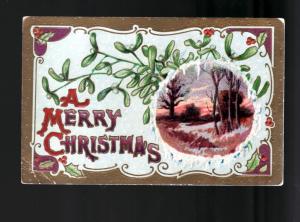 1910 Christmas Scene Embossed Picture Postcard!