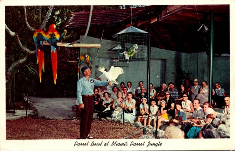 Florida Miami Parrot Jumgle The Parrot Bowl 1965