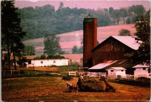 Haying In Amish America 1996