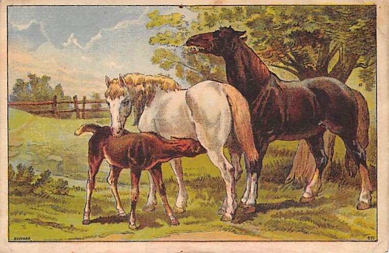 Approx. Size: 3.5 x 5 Ed Gagne, Artist  Late 1800's Tradecard Non  