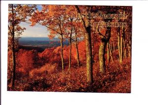 Fall Leaves, Montians, North Georgia, Photo Bill Tuttle