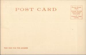 New York City 5th & 59th c1905 Detroit Publishing Postcard