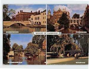 Postcard Bridges Of Cambridge, England