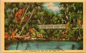 postcard FL - Scene in Hillsborough River State Park near Tampa