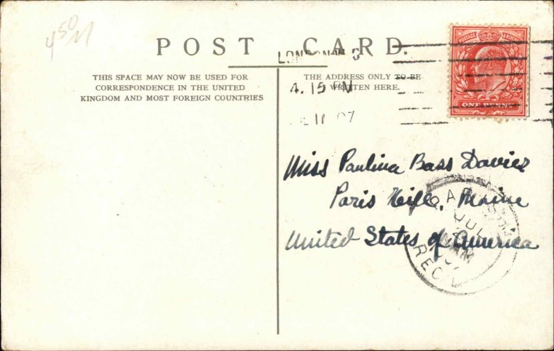 Zoo Regents Park London NW Common Herons Birds 1900s-20s Vintage Postcard