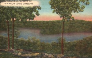 Vintage Postcard 1930's Picturesque Ozarks of Missouri MO Trees River Nature