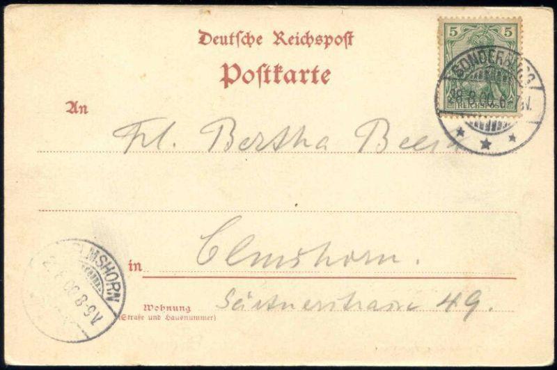 denmark, SØNDERBURG, Panorama (1900) Stamp