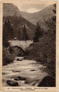 CPA Haute-Savoie - PASSY - Pont de la Tetaz - Rochers de Plate (450107)