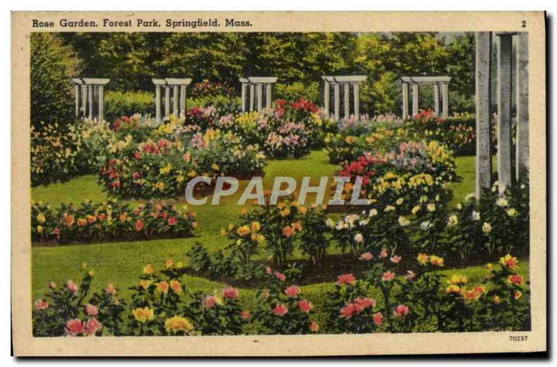 Postcard Old Rose Graden Forest Park Springfield Mass