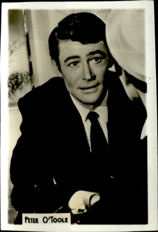 IMN01689 peter o toole actor movie star film 5x7cm 