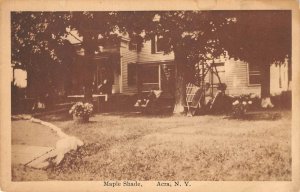 Maple Shade ACRA, NY Greene County, New York c1910s Olmstead Antique Postcard