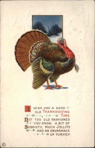 Thanksgiving Turkey Poem Embossed Stecher c1900s-10s Postcard