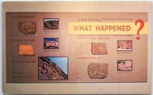 What Happened, Fixed Exhibit #6, Dinosaur Quarry Visitor Center - Jensen, Utah 