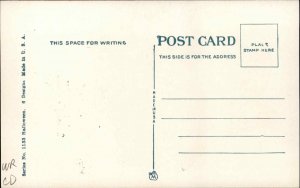 Halloween Owl & Witch Series 1133 c1915 Postcard EXC COND #2