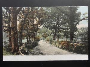 Hampshire NEW FOREST Brockenhurst CHURCH LANE c1909 Old RP by F.G.O Stuart