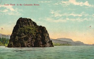 Vintage Postcard 1908 Lone Rock In Columbia River Glen Canyon Recreational Utah