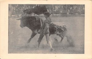 Bull Fighting Unused 