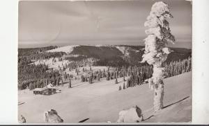 BF33113 feldberg schwarzwald gasthof und pesion germany front/back image