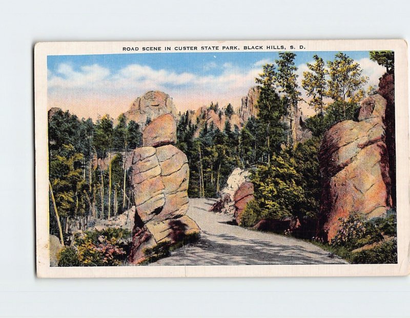 Postcard Road Scene in Custer State Park Black Hills South Dakota