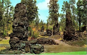 Lava Trees State Park Big Island Hawaii Chrome Postcard