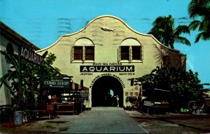 Florida Key West Municipal Auditorium 1958