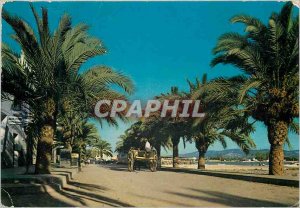 Postcard Modern Ibiza Baleares Espana Pasco San Antonio de las Palmeras