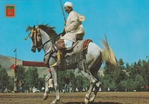 Typical Morocco Soldier Cavalry Man on Horse