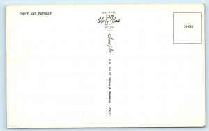Chief & Papoose - Native American Postcard