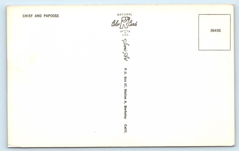 Chief & Papoose - Native American Postcard