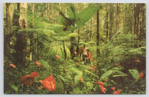 Flowers~Red Anthurium Giant Tree Ferns~Hawaii~Nani Li'l Chrome Postcard