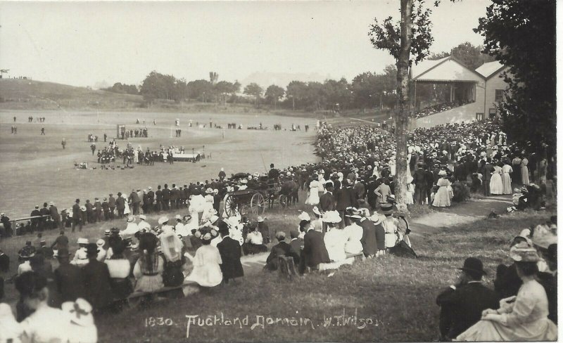 Cricket Ground,  Auckland Domain, New Zealand, Real Photo Post Card (R78)