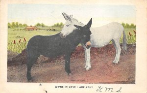 We're In Love Donkey 1965 writing on front, tab marks on corners from being i...