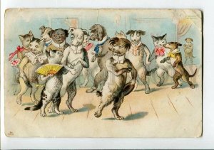 3150277 Dressed DOGS CATS Ball DACHSHUND PUG BULLDOG vintage PC