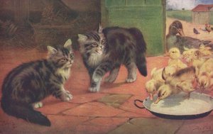 When Cats Are Kittens Farm Birds Chicks Tucks 3053 Oilette Postcard