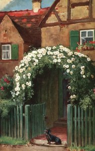 Vintage Postcard Entrance Floral Arch White Petals Dog House Green Gate