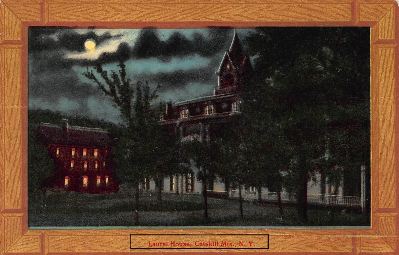 Laurel House, Catskill Mountains, New York, Early Postcard, Used in 1910