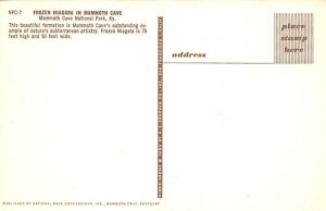 Frozen Niagara Mammoth Cave National Park KY