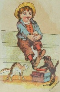 Victorian Card Anthropomorphic Dog Shoe-Shine Boy Hissing Cat Humorous