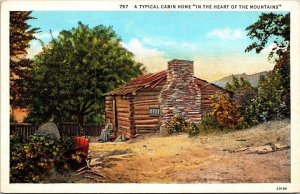 Typical Log Cabin Home Heart Mountains Lady Stone Chimney Postcard Unused UNP 