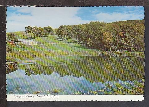 Maggie Valley NC Postcard BIN