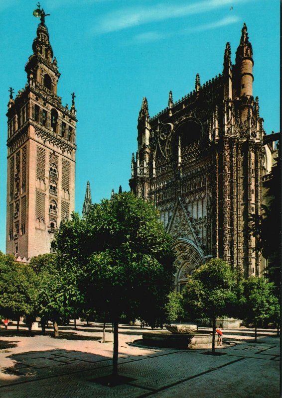 Postcard Giralda Tower Architecture And Oranges Courtyard Sevilla Seville Spain