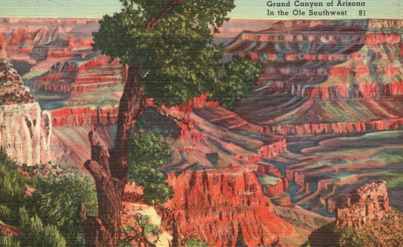 Vintage Postcard Grand Canyon In The Ole Southwest Arizona AZ Tucson News Pub.