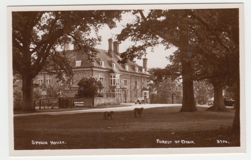 P2494, old RPPC old cars etc speech house forest of dean gloucestershire england